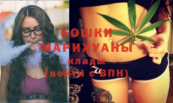 молекула духа Кадников