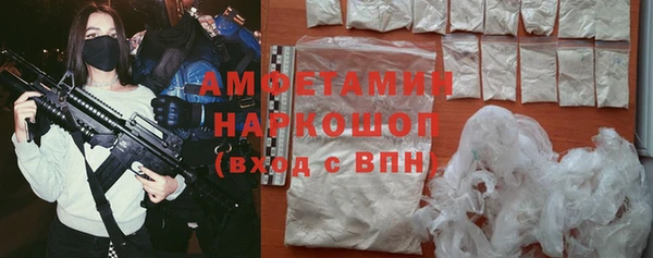 молекула духа Кадников